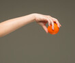 © serhii - female hands holding an orange sponge ball on a gray background isolated