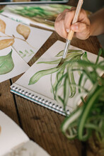 Hands Painting Leaves With Watercolours