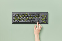 Person Using Keyboard With Growing Plant