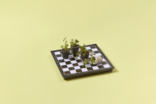 Tiny Potted Plants On Chessboard