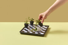 Person Playing Chess With Potted Plants