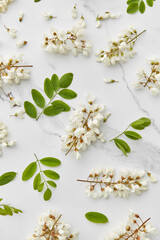 Acacia blossom over white marble background.