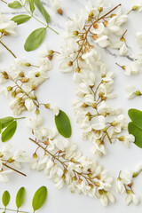Acacia blooms on white marble surface.