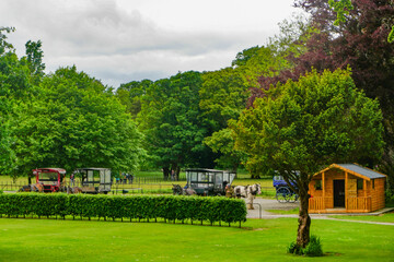 Killarney National Park, Co. Kerry, Ireland: Horses and carts -- jaunting cars -- waiting for passengers at Muckross House, a 65-room Victorian mansion built in 1843.