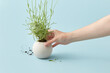 © Yaroslav Danylchenko/Stocksy - Female hand holding lavender in white clay pot.