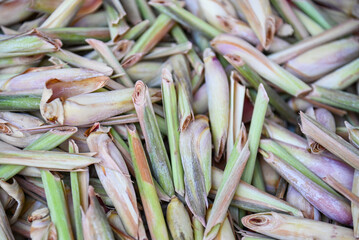 Wall Mural - lemon grass slice on background, fresh lemon grass dry in the sun for food and herb , lemongrass tea