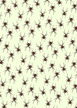 Illustrated Spider Pattern On Cream Background