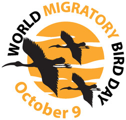 Wall Mural - World Migratory Bird Day Banner Concept