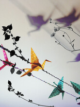 Origami With The Illustrative Branches