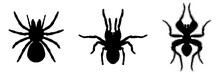 Tarantula Icon