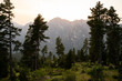 © Alba Vitta/Stocksy - Sunset landscape view of mountain and forest
