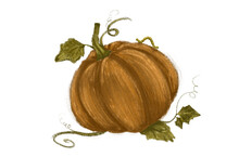 Pumpkin Harvest. Digital Illustration