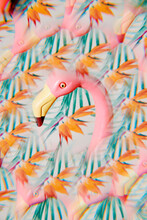 Plastic Pink Flamingo Kaleidoscopic Image
