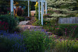 © Helen Rushbrook/Stocksy - A landscaped garden lit at night
