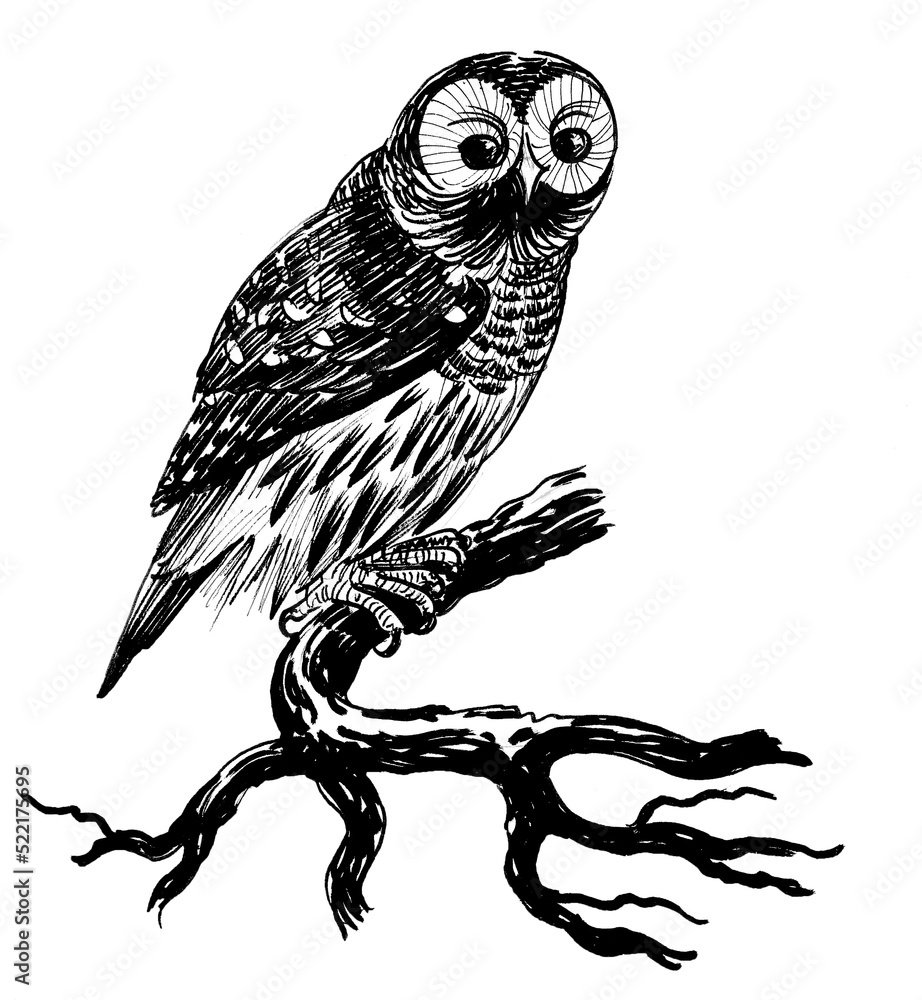 Owl bird sitting on a tree branch. Ink black and white drawing Stock ...