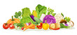 © YG Studio - Set of various kinds of vegetable illustrations