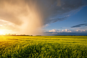 Poster - Spectacular storm clouds over the agricultural land in the evening.