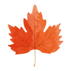 Wall Mural - Vector watercolor illustration of an autumn red maple leaf isolated on background.