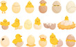 Chicken hatching icons set cartoon vector. Egg nest. Chicken baby