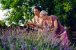 © zorandim75 - Lavender harvesting. Mother and daughter picking lavender flowers.