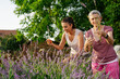 © zorandim75 - Lavender harvesting. Mother and daughter picking lavender flowers.