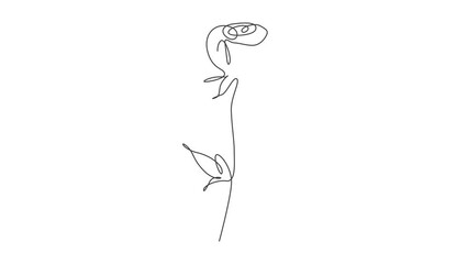 Wall Mural - animated self drawing of single continuous line draw minimalist beauty red rose flower. floral conce