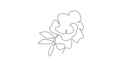 Wall Mural - animation of one single line drawing beauty rose flower. minimal tropical floral style, love romanti