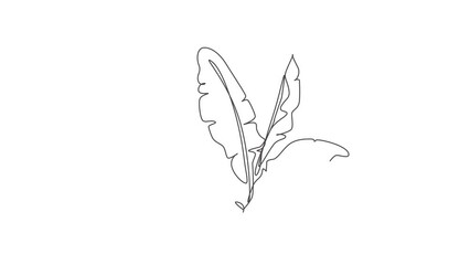 Wall Mural - Animated self drawing of one continuous line draw abstract tropical banana leaf. Minimal natural eco concept artwork. Home wall decor, poster, tote bag, fabric print. Full length single line animation