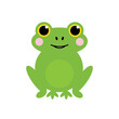 Cute and smiling cartoon style green frog vector icon, illustration.

