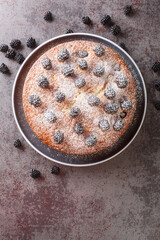 Wall Mural - Blackberry Breakfast Cake with powdered sugar closeup in the plate on the table. Vertical top view from above