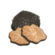 Black truffle mushroom vector illustration. Cartoon isolated whole forest truffle tuber and cut in slices for cooking luxury gourmet Italian and French cuisine, precious restaurant or home menu