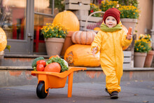 Kid In A Yellow Overalls Drives Toy Car Filled With Vegetables Among Large Pumpkins At Fall Fair.