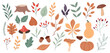 Autumn set of plants, botany. Elements for decoration