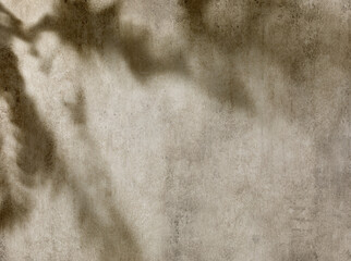 Wall Mural - Texture for concrete wall background with leaves shadow