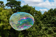 A large soap bubble floats away at a county fair in Upstate NY.  Kids at park made this colorful bubble at the Greene Apple Festival in Autumn.