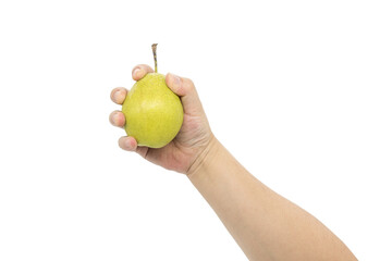 Wall Mural - Hand holding Chinese fresh fragrant pear