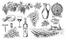 Glass Wine Bottle And Vine Bunches. Tuscany Landscape With Vineyard. Hand Drawn Sketch For Label Or Bar Menu. Vintage Drawing Of Grape And Oak Wooden Barrel. Vector Illustration In Engrave Style