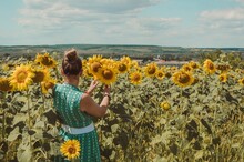 Woman In Green Among Yellow Flowering Sunflowers