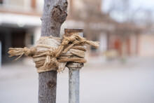 Rope On A Pole, Lens Blur And Background