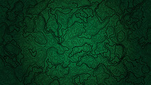 Topographic Map Background. Grid Map. Abstract Vector Illustration.