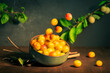 Bowl filled with mirabelle plums in beautiful light on a dark moody background and on a wooden tabletop. Green branches in the background.