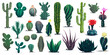 Mexican and desert cactuses. Cartoon prickly succulent plants with flowers. Mexico, Peru or Texas dessert flora and plants, isolated vector cactuses types, blooming succulents with flowers