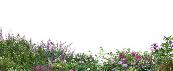 Wall Mural - Colorful flowers on a transparent background