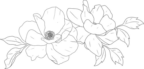 doodle line art peony flower bouquet elements