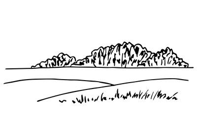 Wall Mural - Simple hand-drawn vector drawing in black outline. Summer nature, landscape. Edge of the forest, fields. Lawn and grass, trees. Sketch in ink.