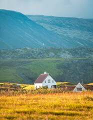 Wall Mural - Icelandic wooden house glowing with sunlight on meadow and bird flying around in sunset on summer at Arnarstapi fishing village, Iceland