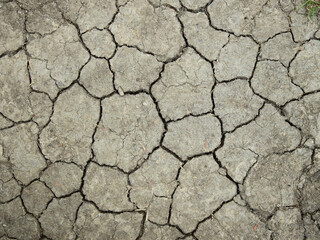 Wall Mural - dry ground with crack in arid season