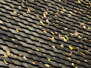 Poster - autumn leaf on old tile roof texture