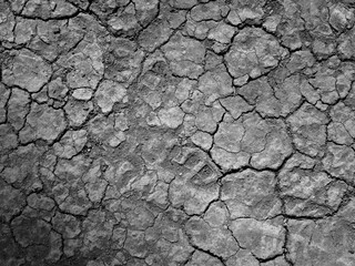 Poster - close up crack the dry ground texture, black and white style