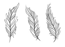 3 Simple Feather Outline SVG Vector Black And White Line Art